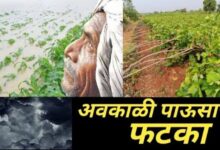 Breaking: राज्यात अवकाळी पाऊस "ह्या" दिवसापासून... राज्यात बसणार शेतकऱ्यांना मोठा फटका...