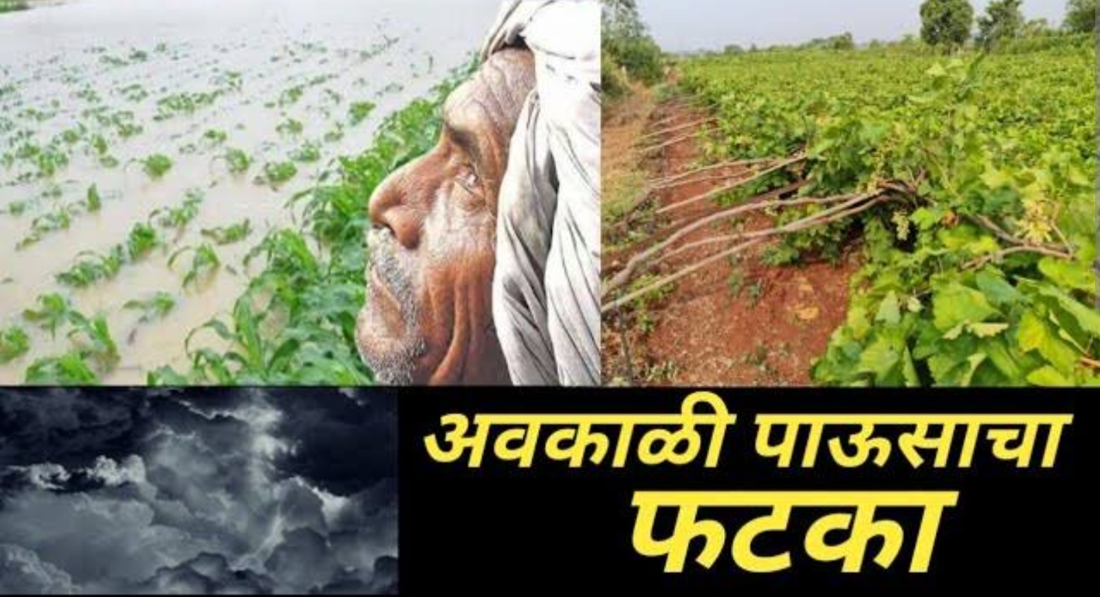 Breaking: राज्यात अवकाळी पाऊस "ह्या" दिवसापासून... राज्यात बसणार शेतकऱ्यांना मोठा फटका...